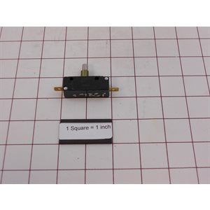 LINT / MAIN DOOR SWITCH