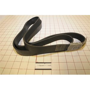 BELT,W640