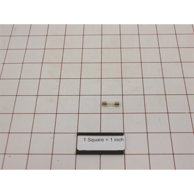 FUSE,5.2MM X 20MM 250V 2.0A