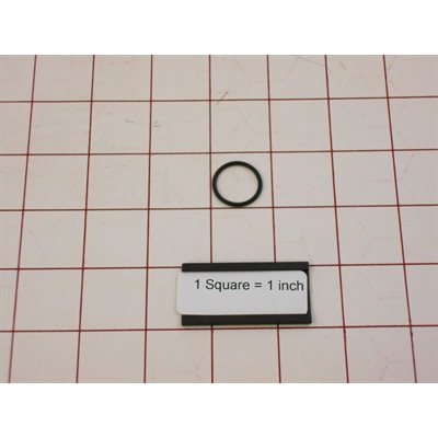 O-RING,SPRAY RINSE
