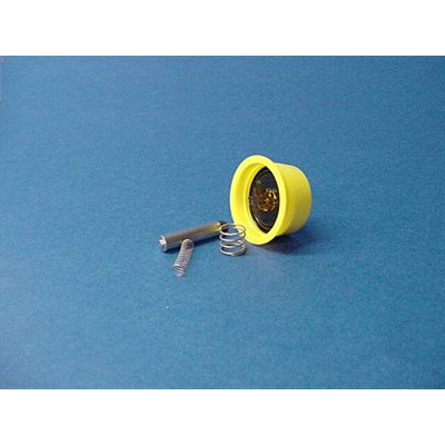 KIT,VALVE REPAIR,10MM,